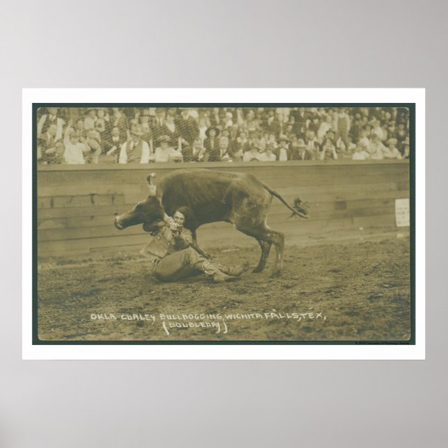Póster Oklahoma Culy bulldogging. (Frente)