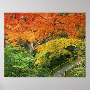 Póster Okochi Sanso, Arashiyama, Kyoto, Japón 2