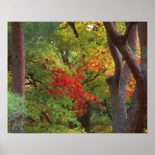 Póster Okochi Sanso, Arashiyama, Kyoto, Japón 5