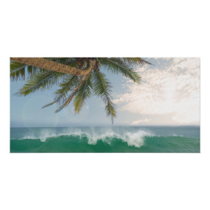 Póster Ola del Océano Tropical y Palma de Coco