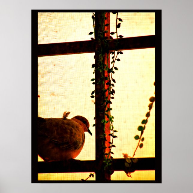 Póster Ola en una tormenta de polvo (Frente)