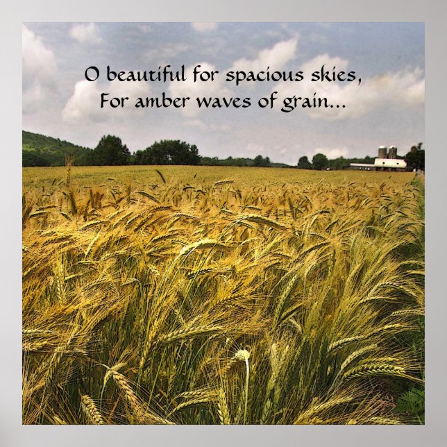 Póster Olas ámbares de grano (Frente)