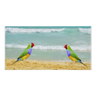 Póster olas, cielo y surf en la playa de boa vista