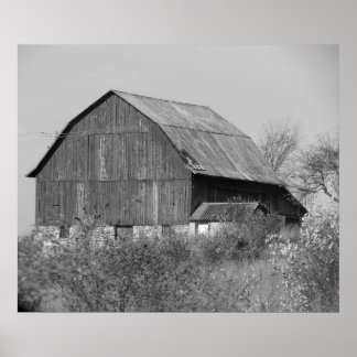 Póster Old barn poster