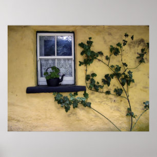 Póster old irish window poster