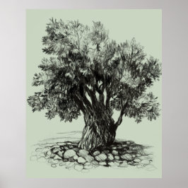 Póster Old olive tree