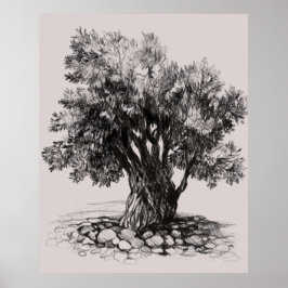 Póster Old olive tree poster