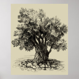 Póster Old olive tree poster