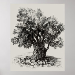 Póster Old olive tree poster