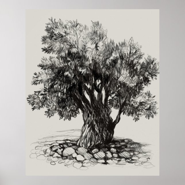 Póster Old olive tree poster (Frente)