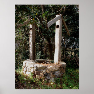 Póster Old Well