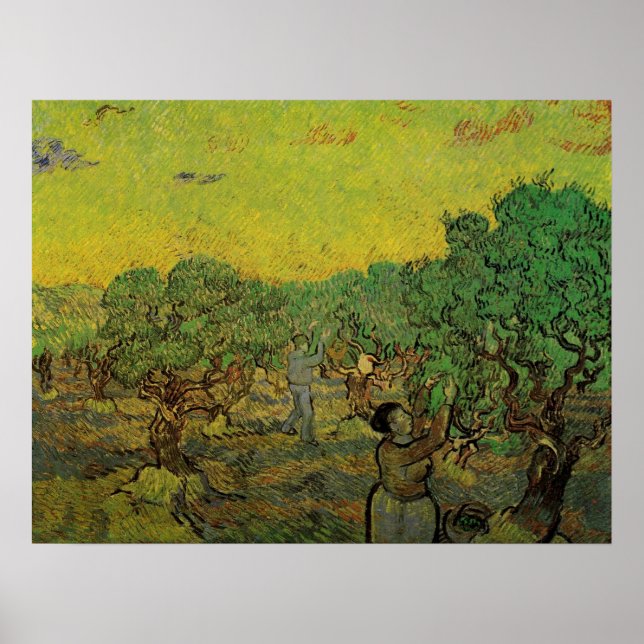 Póster Olivar con figuras cosechando, Vincent van Gogh (Frente)