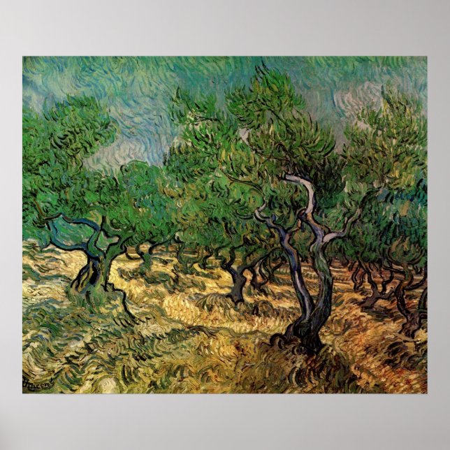 Póster Olivar por Vincent van Gogh (Frente)