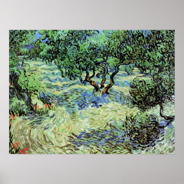Póster Olivar por Vincent van Gogh (Frente)