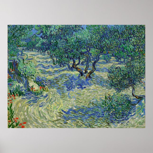 Póster Olivar, Vincent van Gogh   (Frente)