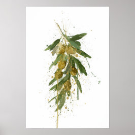 Póster Olive Branch