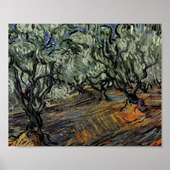 Póster Olive Grove, azul brillante Bella Artes Van Gogh (Frente)