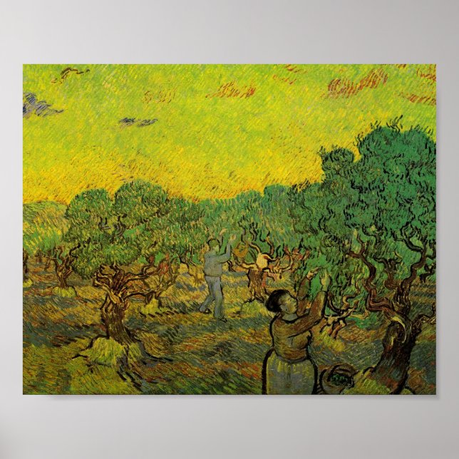 Póster Olive Grove con figuras recolectoras, Vincent van  (Frente)