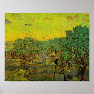 Póster Olive Grove con figuras recolectoras, Vincent van