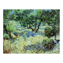 Olive Grove de Vincent van Gogh