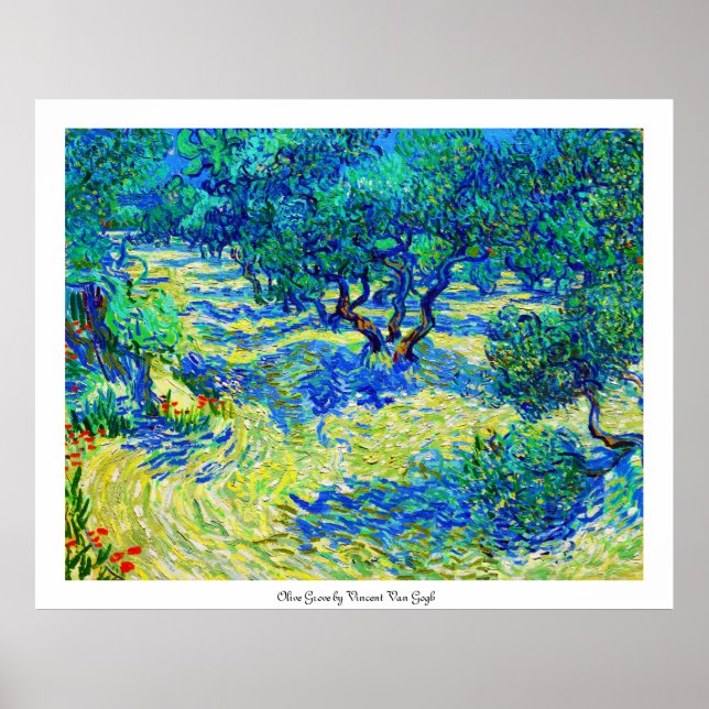 Póster Olive Grove de Vincent Van Gogh (Frente)