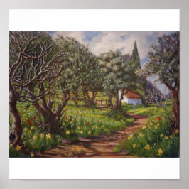 Póster Olive Grove en primavera