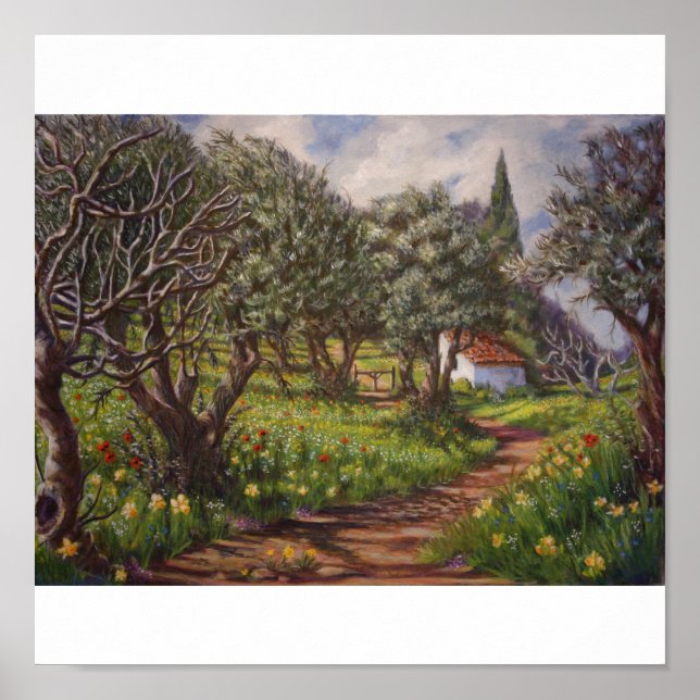 Póster Olive Grove en primavera (Frente)