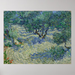 Póster Olive Orchard de Vincent Van Gogh