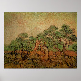 Póster Olive Picking por Vincent van Gogh