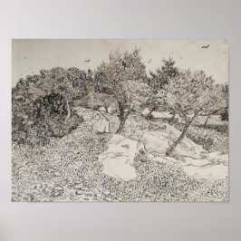 Póster Olive Trees Sketch