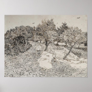 Póster Olive Trees Sketch