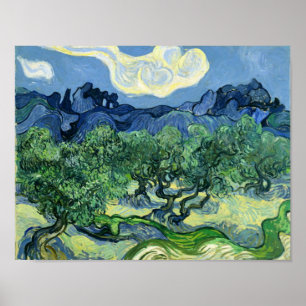 Póster Olive Trees Vincent Van Gogh