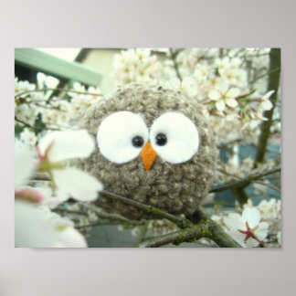 Póster Oliver the Owl