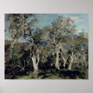 Póster Olives, Corfú, 1912