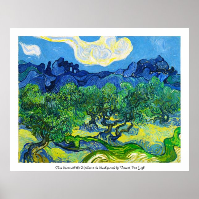 Póster Olivos con los Alpilles en el fondo (Frente)