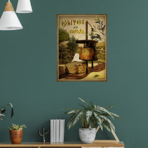 Póster Olivos de España