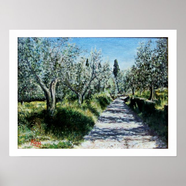 PÓSTER OLIVOS DE RIMAGGIO (Frente)
