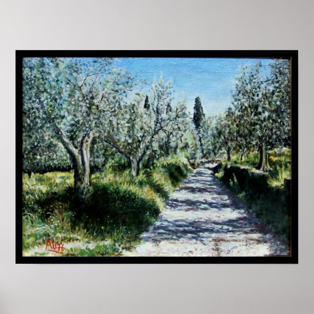PÓSTER OLIVOS DE RIMAGGIO (Frente)