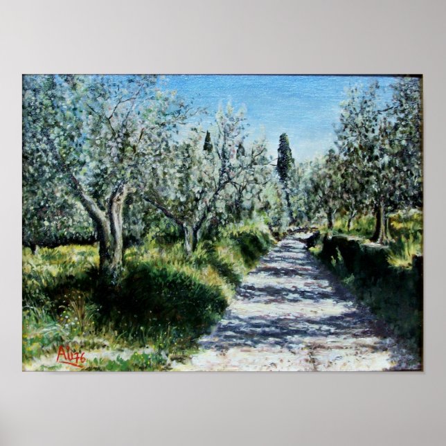 PÓSTER OLIVOS DE RIMAGGIO (Frente)
