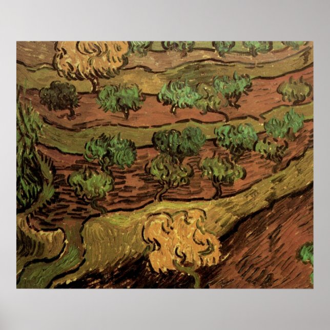 Póster Olivos de Van Gogh contra una ladera de una colina (Frente)