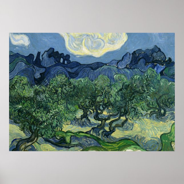 Póster Olivos de Van Gogh Poster (Frente)