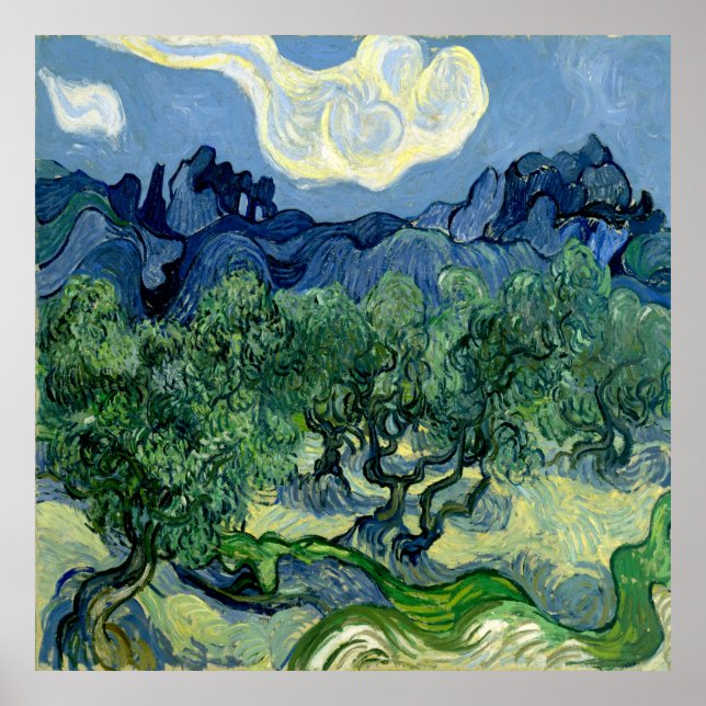 Póster Olivos de Vincent van Gogh (Frente)