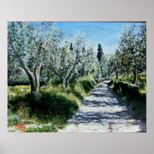 Póster OLIVOS EN RIMAGGIO paisaje de Toscana