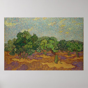 Póster Olivos, Van Gogh