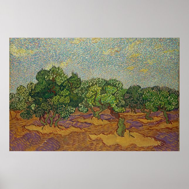 Póster Olivos, Van Gogh (Frente)