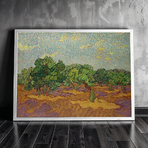 Póster Olivos, Van Gogh