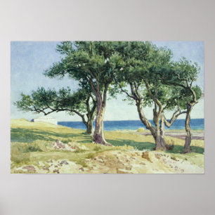 Póster Olivos viejos, Bordighera