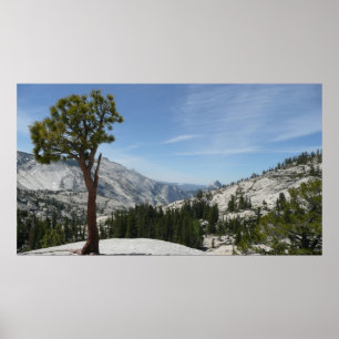 Póster Olmsted Point I en el Parque Nacional Yosemite