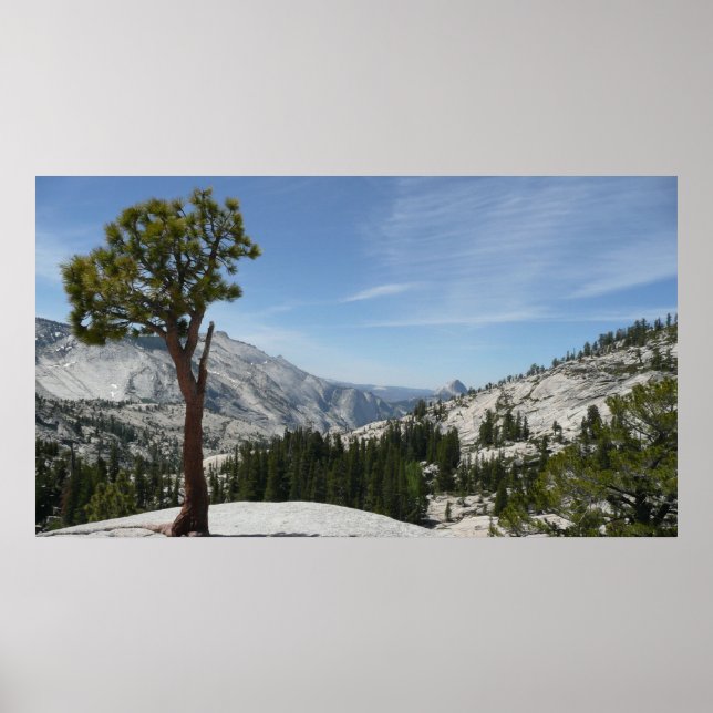 Póster Olmsted Point I en el Parque Nacional Yosemite (Frente)