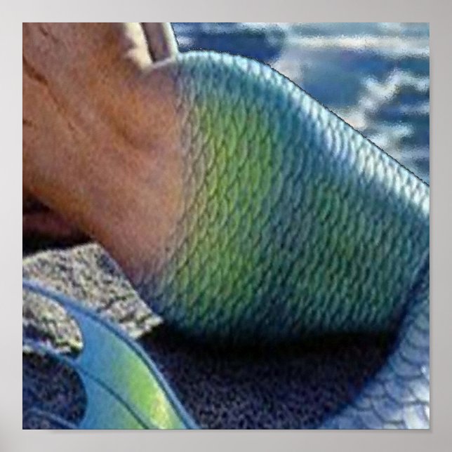 PÓSTER OLOKUN SIRENA (Frente)